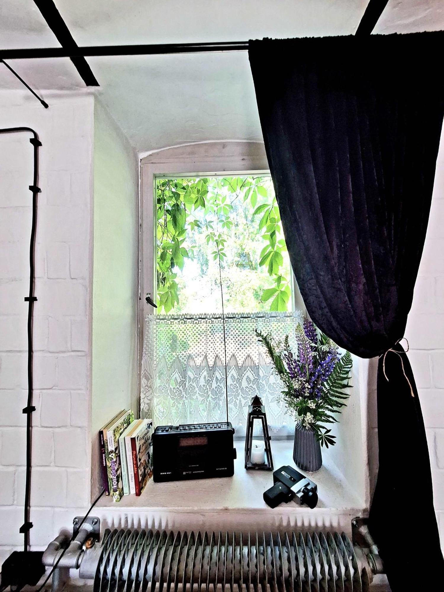 Zielona Samotnia Apartment ชาพลีเนก ภายนอก รูปภาพ