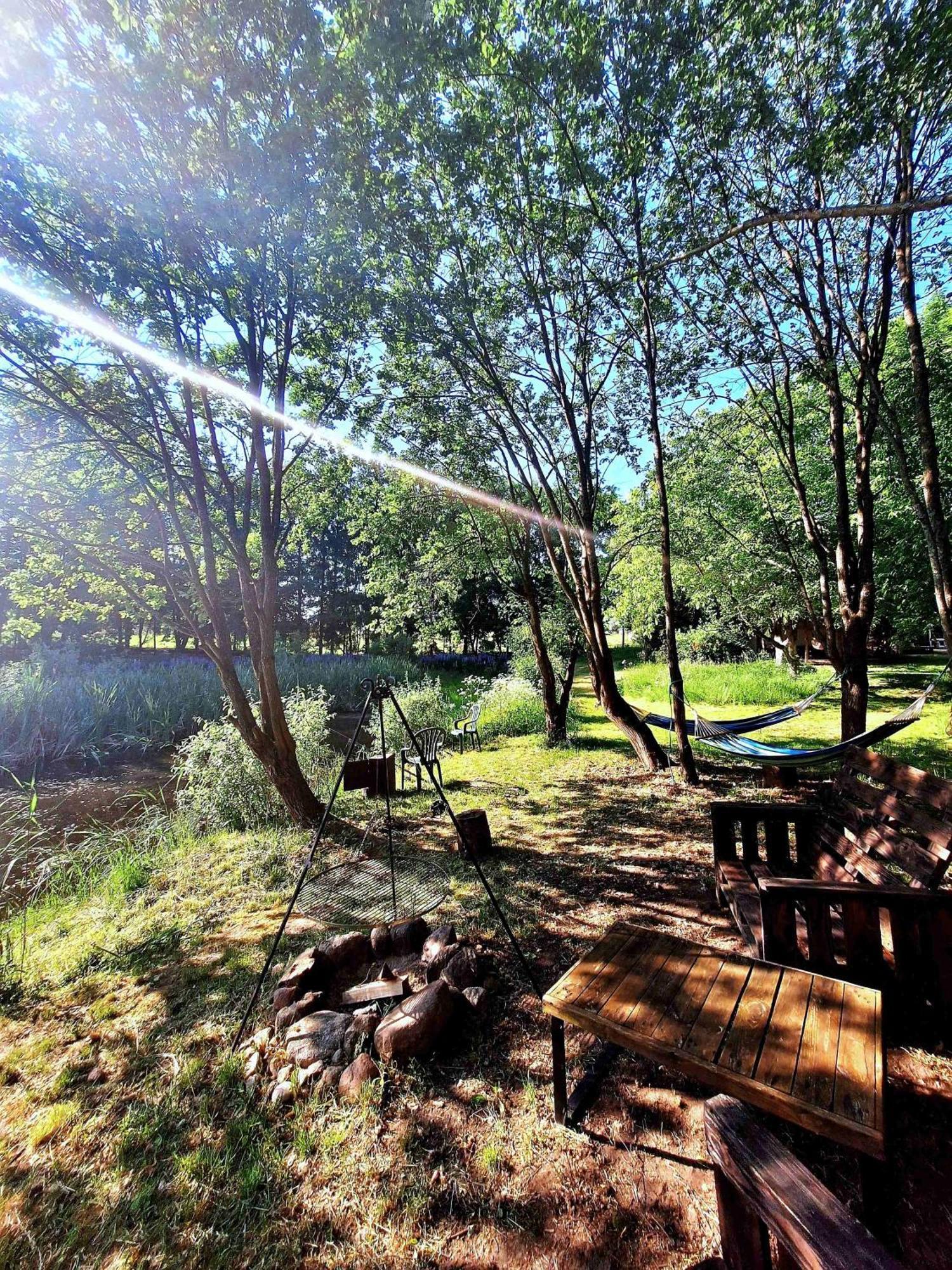 Zielona Samotnia Apartment ชาพลีเนก ภายนอก รูปภาพ